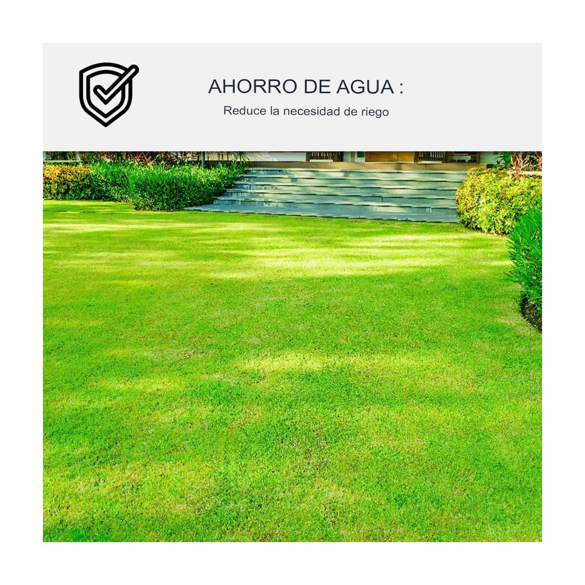 Pintura para Césped ARCAGREEN - Verde - ARCANE INDUSTRIES