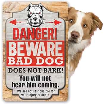 ダメな犬はいない NO BAD DOGS ダメな犬はいない NO BAD DOGS Amazon.co.jp: ダメな犬はいない (