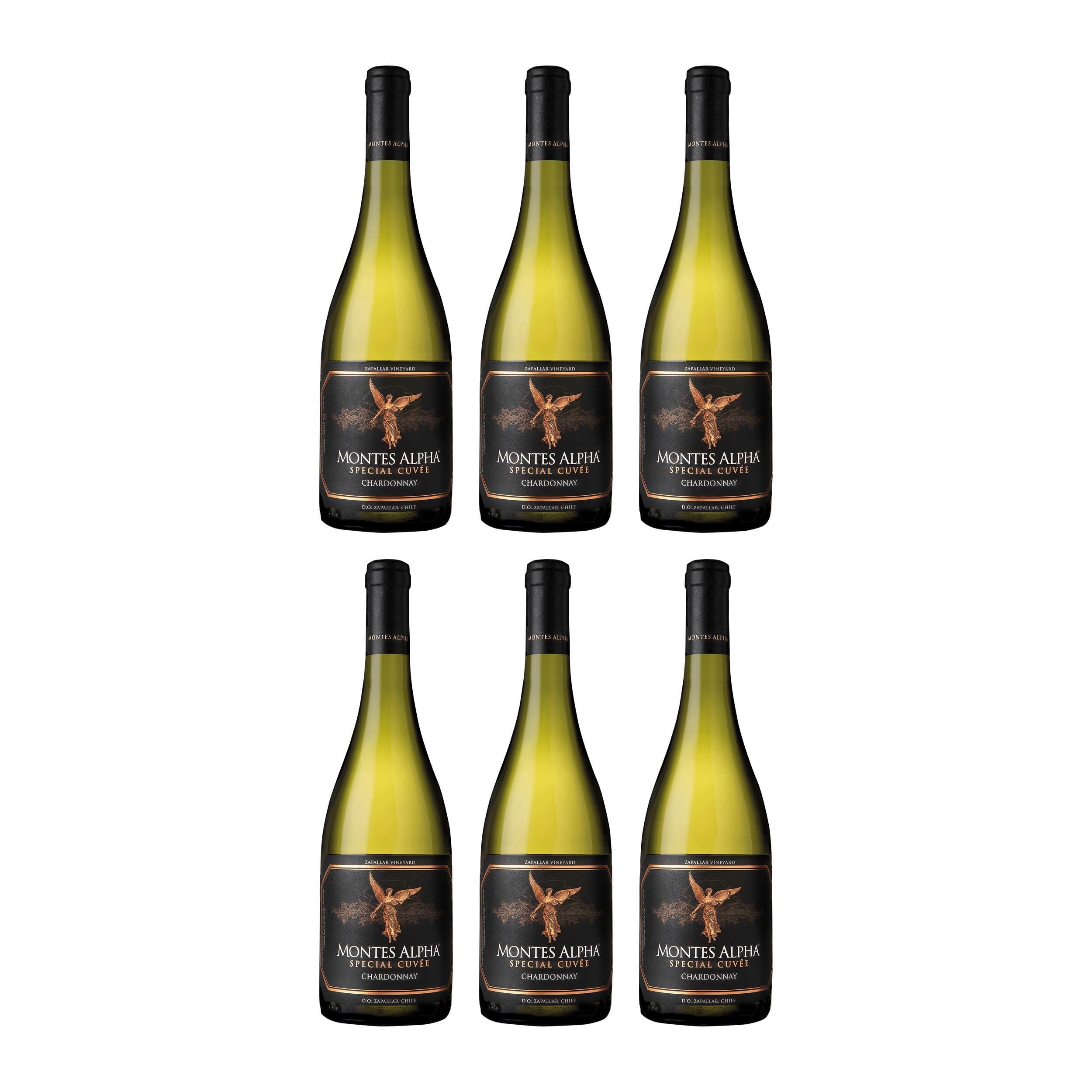 Montes Alpha Special Cuvee Chardonnay trocken Weisswein Chile inkl. FeinWert E-Book (6 x 0.75 l)