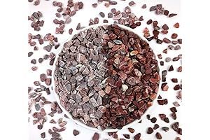 2LB Succulent and Cactus Gravel Pebbles