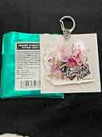 D4DJ 四ノ宮心愛 アクキー サイン ユニコード UniChØrd ディクハイ