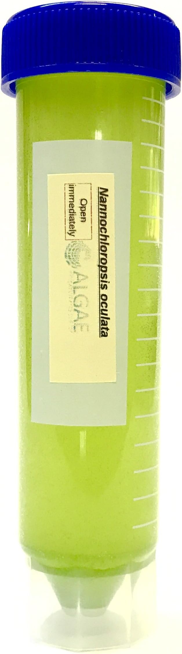 Algae Research Supply Algae Culture Nannochloropsis Occulata, Perfect for School Science Fairs/Projects, Experiments & Classrooms (50mL)