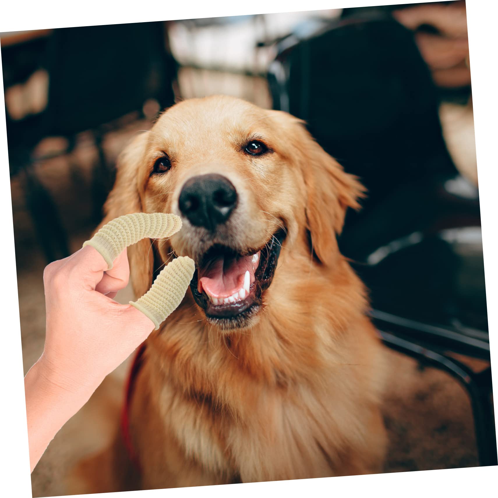 VICASKY 10Pcs Finger Toothbrush for Dogs Cats Cleaning Tool for Small to Large Pets Lightweight Easy to Use Durable Design for Fresh Breath Oral