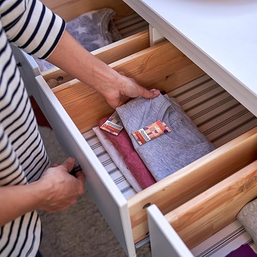 Miniatura 8 de Absorpak - Paquetes de desecantes para almacenamiento, paquetes de gel de sílice para control de humedad, 500 unidades pequeñas (0.07 onzas cada