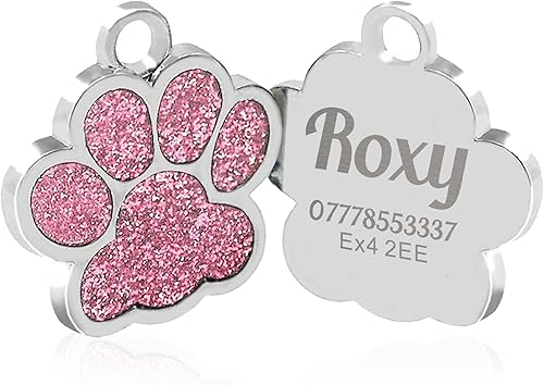Etiquetas para perros grabadas para mascotas, etiqueta personalizada con estampado de pata, de acero inoxidable, para perros, gatos, etiquetas de