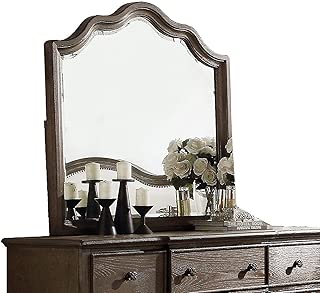 HomeRoots Furniture Homeroots Mirrors, Multicolor - coolthings.us