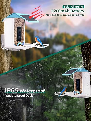 Miniatura 5 de Comedero para pájaros con cámara, alimentador de video para pájaros con reconocimiento AI, notificación automática detectada de aves, conexión WiFi
