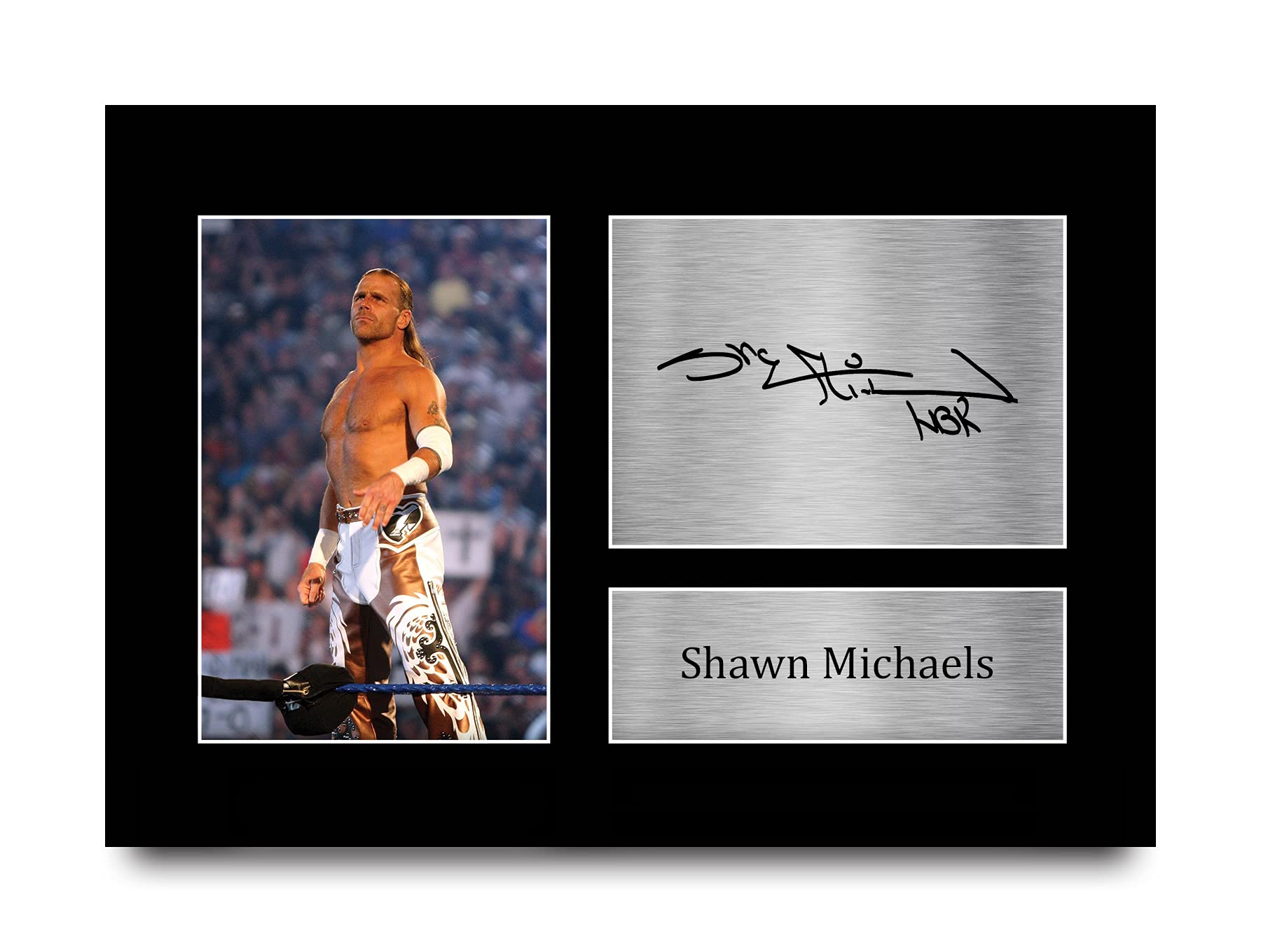 HWC Trading Shawn Michaels Signed A4 Printed Autograph WWF WWE Wrestling Print Photo Picture Display
