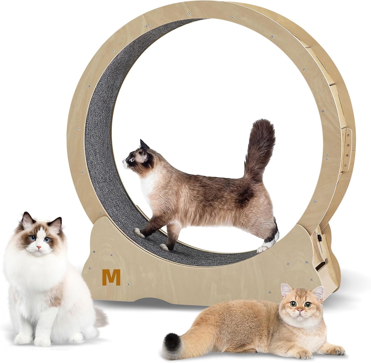 Amazon | スターキャットホイール、キャットトレッドミル、室内の猫用