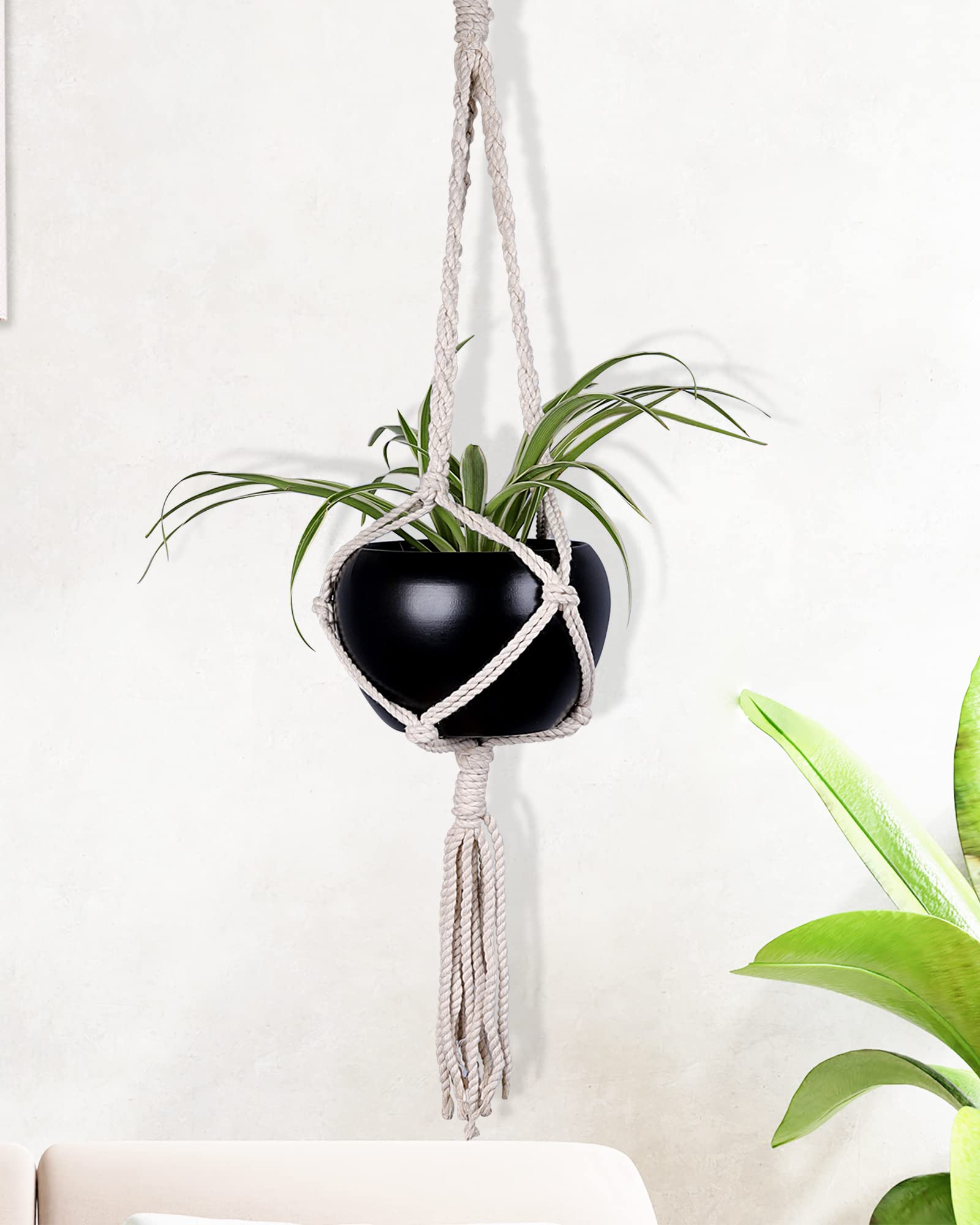 Twilight Indoor Macrame Plant Hangers with Tassels! 2X Hanging Macrame Planters. Single Tier Plant Macrame Hanger (Medium Black Pot) (B09TTK1WF6) Amazon Price History, Amazon Price Tracker