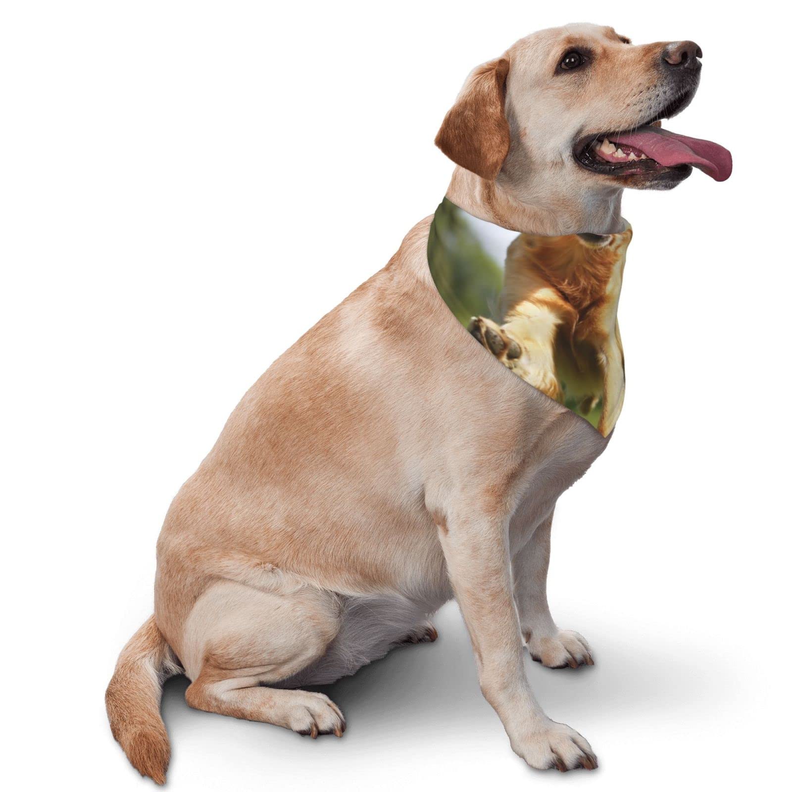 2er-Set Hundehalstücher Mit Zitronen-Muster – Wendbar, Verstellbar & Waschbar Für Hund & Katze