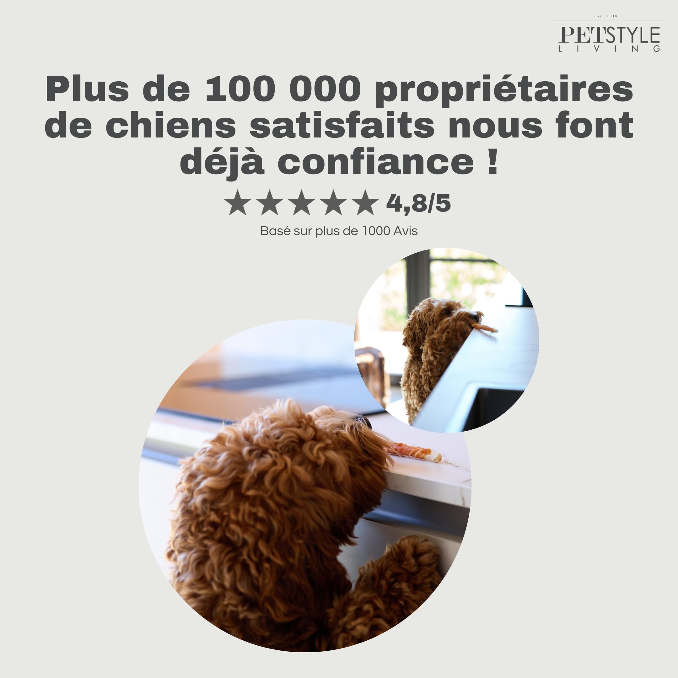 Bâtonnets à Mâcher au Poulet - Collation pour Chien - 12,5cm - 100 Pièces