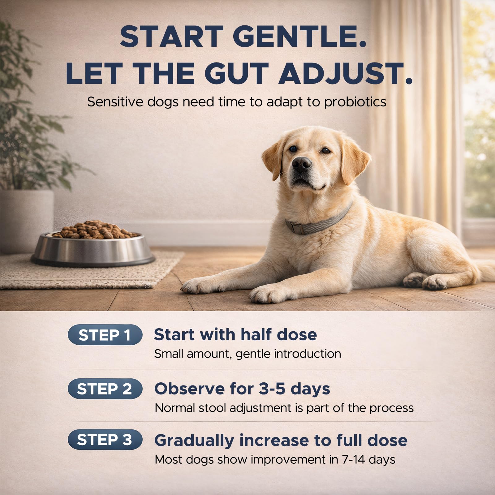 Probiotics for Dogs – Dog Probiotic Soft Chews for Digestive & Gut Health, Yeast Balance,3 Billion CFU with Prebiotic Inulin & Pumpkin, Gentle Formula for Sensitive Stomachs, Chicken Flavor, 90 Count - image 3