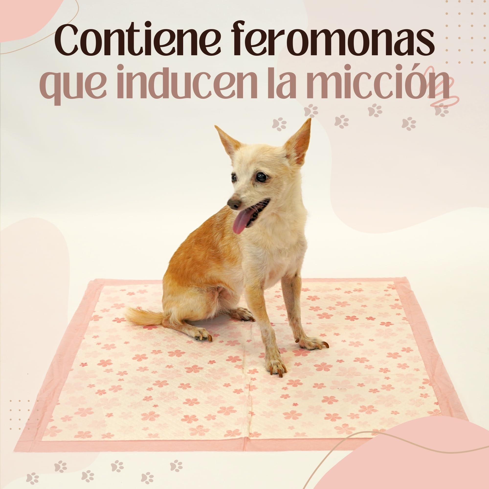 Empapadores Perros - Máxima Absorción (5 Capas) - Regalo 2 Rollos Bolsa de excrementos Biodegradable - 40 Unid. - Empapadores Perros 60x60 – Empapadores Bebe – Empapadores Cama Adultos