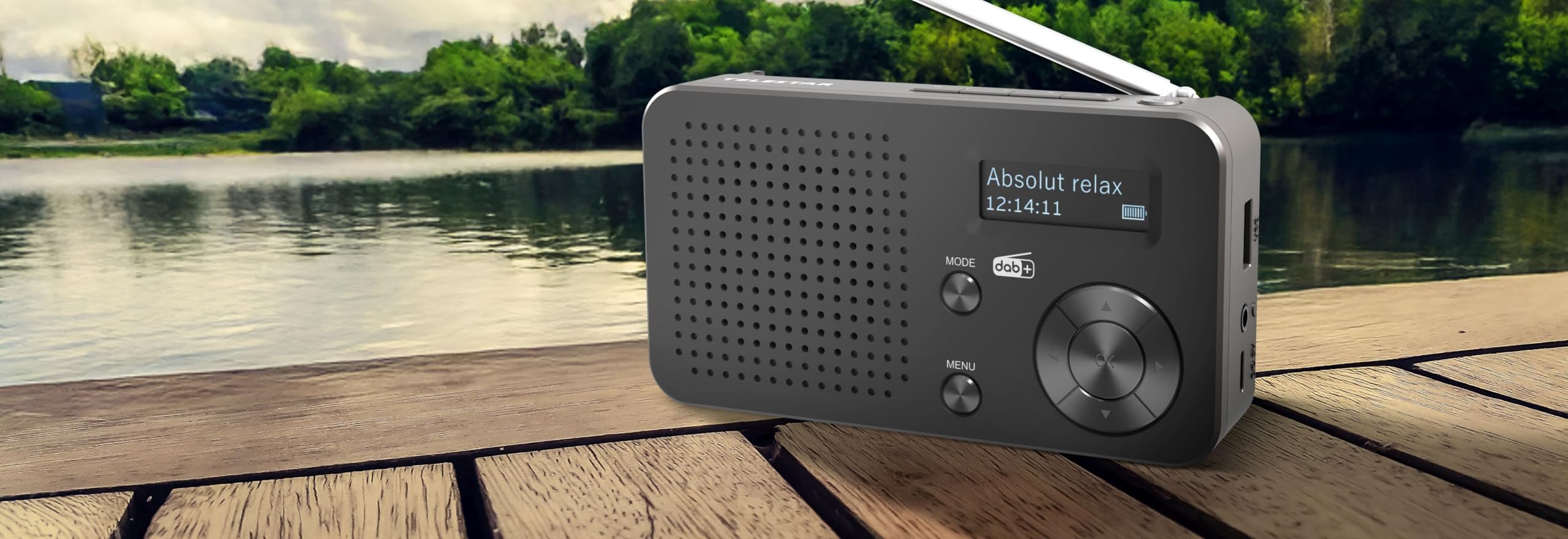 TELESTAR TOP 100 – Radio portatile DAB+/FM con batteria ricaricabile – Nero | Batteria sostituibile, fino a 15 h di autonomia, ricarica rapida, streaming Bluetooth e lettore USB