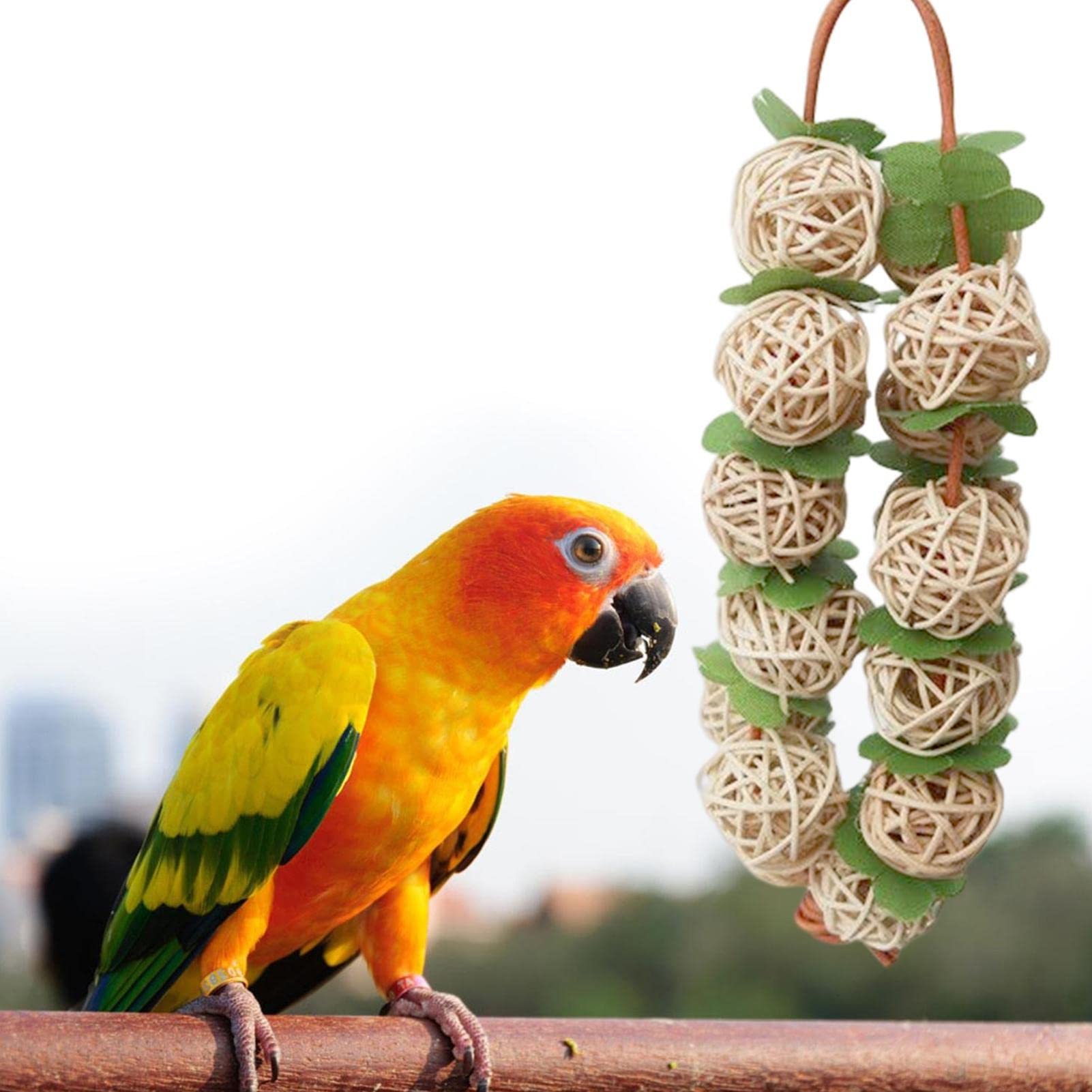 Amazon.co.jp: オカメインコのおもちゃ,ハンギング ペット バード
