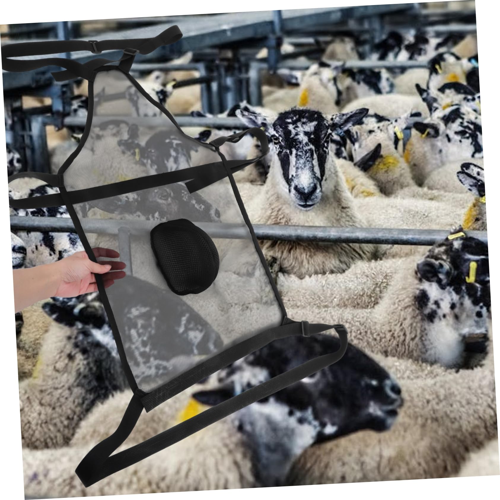 Toyvian Tablier de Contrôle Reproduction pour Moutons et Chèvres en Tissu Mesh Respirant avec Sangle Réglable Noir pour Éleveurs de Bétail