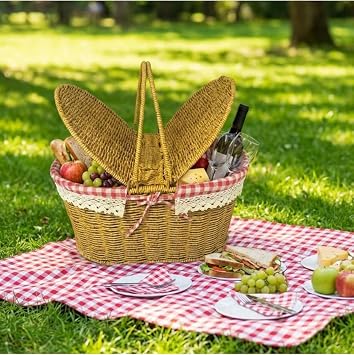 2 Kapakl  Oval Plastik Rattan Piknik Sepeti