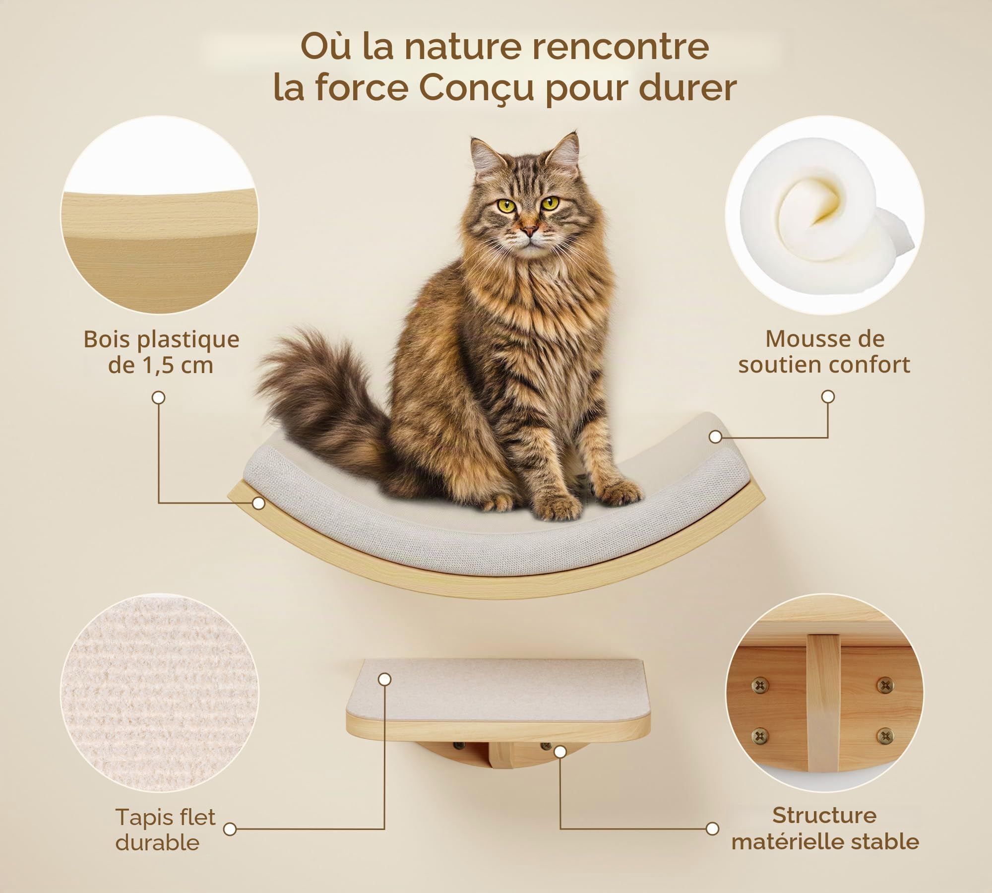 Mur d'escalade pour chat - Étagère murale incurvée avec tapis en mousse - Meuble mural en bois massif pour escalade/jeu/dormir