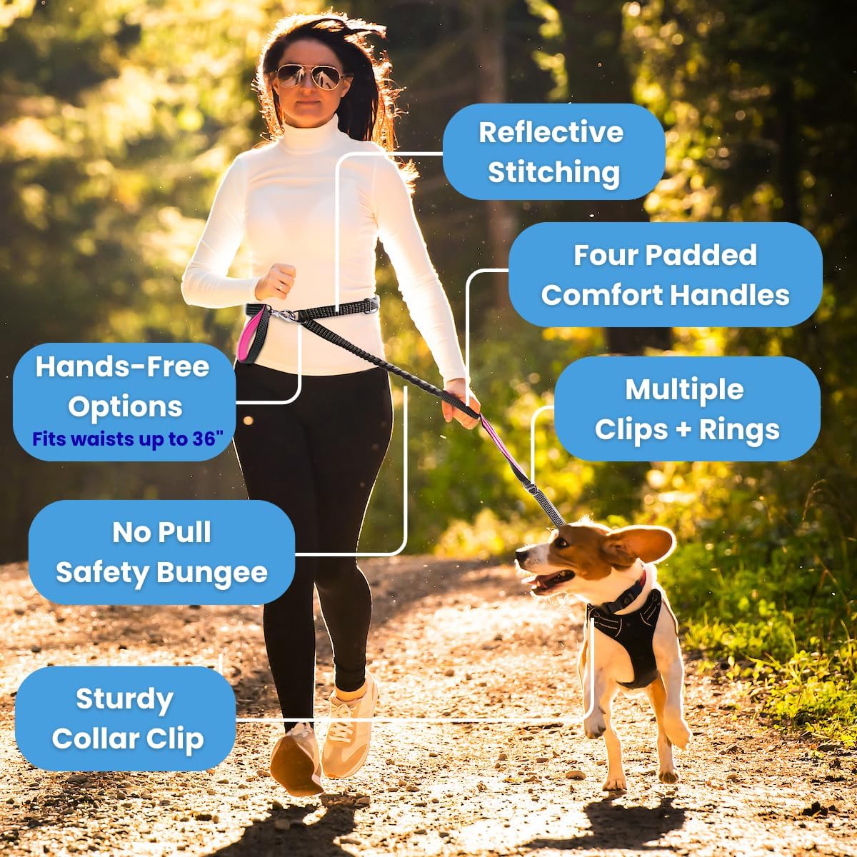 No Pull Dog Leash for Large Dogs – 6ft Highly Reflective Bungee, Heavy Duty Leash for Large Dogs, 4 Padded Handles, Strong Carabiner Clip & Rings, Includes Poop Bag Holder & Treat Pouch (Royal Blue) - Image 2