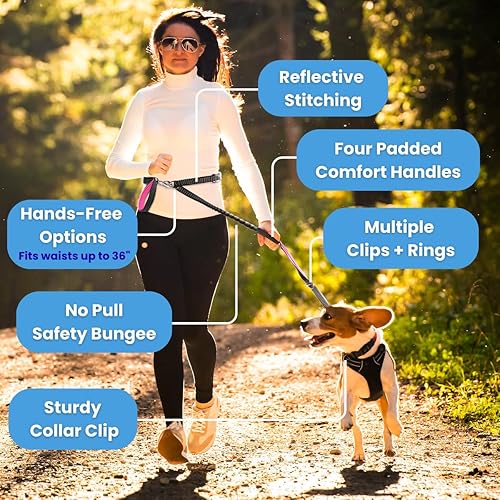 Miniatura 6 de Correa para perro sin tirones, resistente, de 6 pies, con 4 asas de tráfico acolchadas de control. Clips fuertes + anillos. Ultra-reflectante. Bolsa
