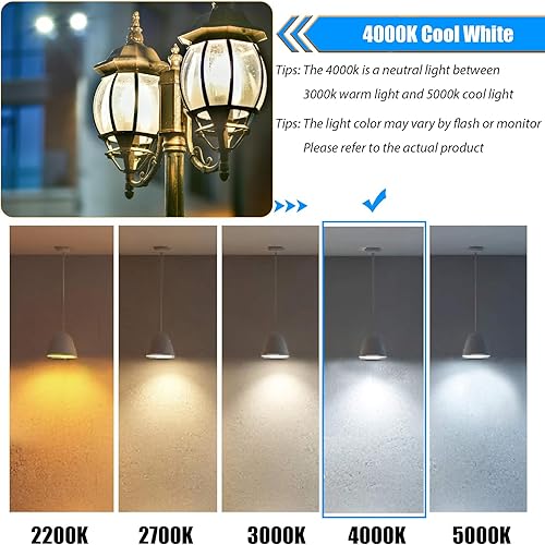 Miniatura 3 de Paquete de 12 bombillas LED regulables de color blanco frío de 4000 K, equivalente a 40 W, bombillas Edison de base E26 de 40 vatios, bombillas LED