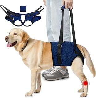 SlowTon Unterstützungsgeschirr für Hinterbeine Geschirr für mittelgroße Hunde - Bequemes, verstellbares Hebegeschirr für ältere, verletzte, arthritische, behinderte Hunde zur Rehabilitation (Blau, S)