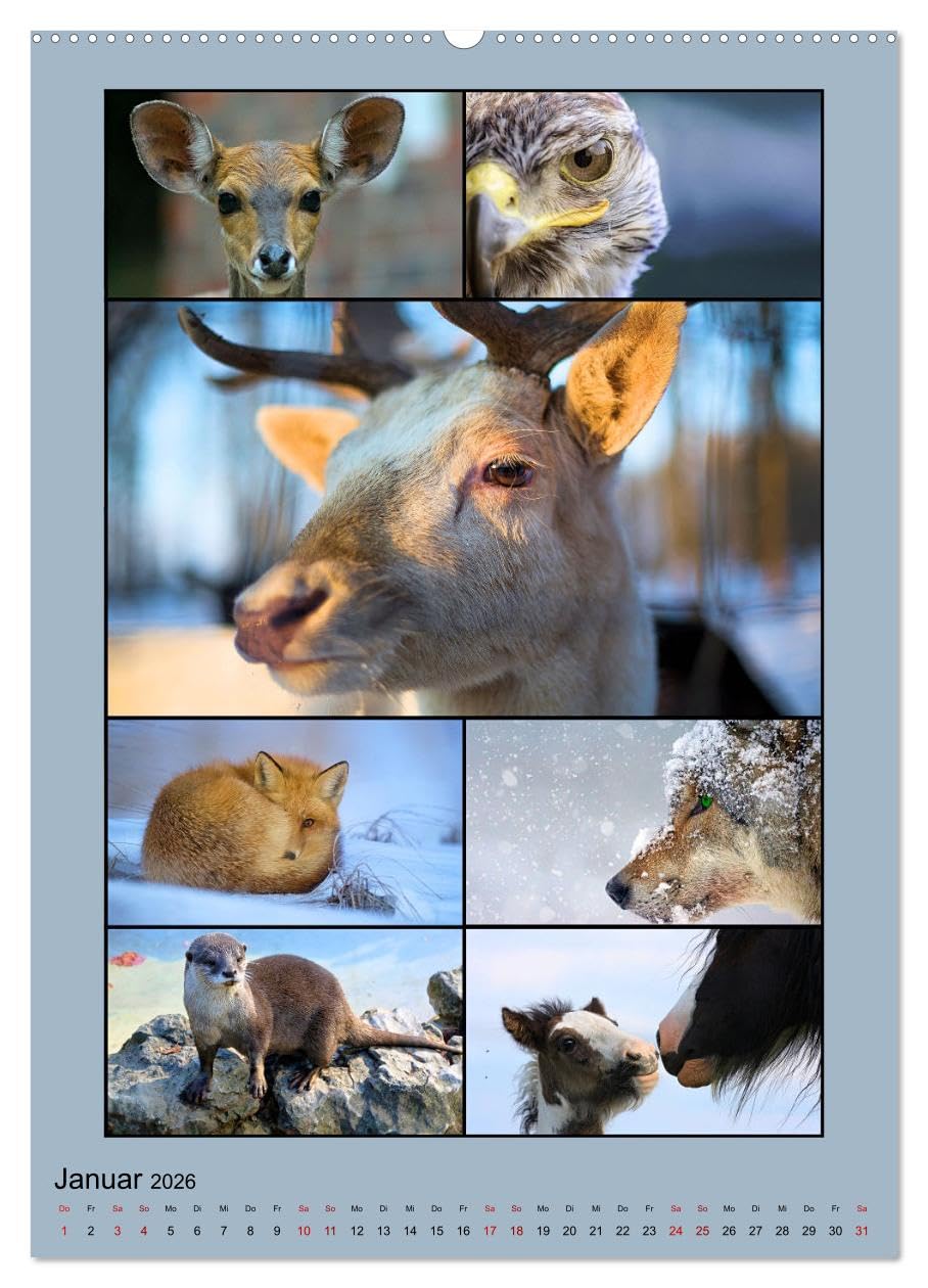 Farbsymphonien der Natur (hochwertiger Premium Wandkalender 2026 DIN A2 hoch), Kunstdruck in Hochglanz: Stimmungsvolle Collagen in faszinierenden unterschiedlichen Farbkombinationen (CALVENDO Natur)