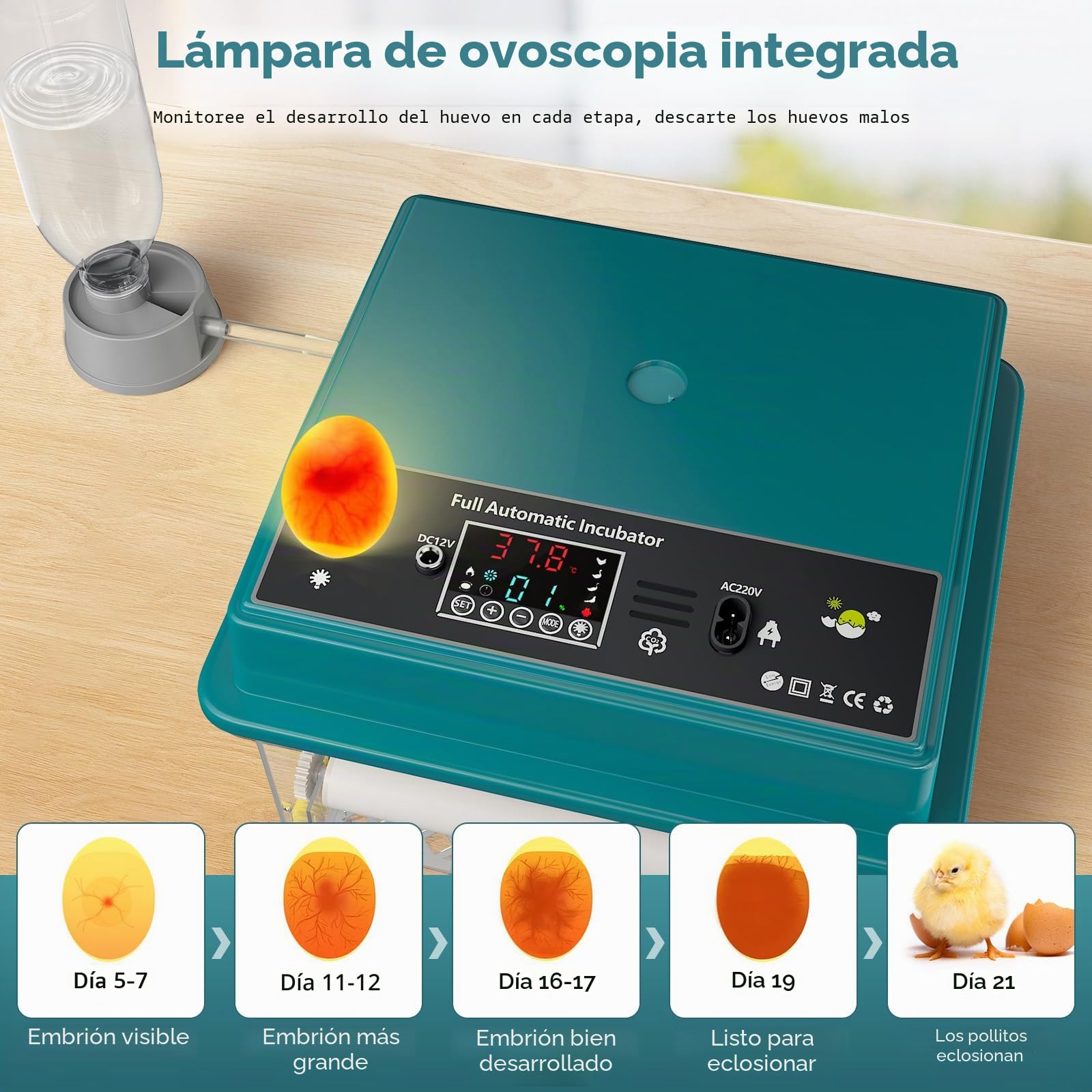 Incubadora Huevos Gallina, Incubadora de 16-64 Huevos con Volteo Automático de Huevos y Humidificación Automática, Fuente de Alimentación Dual, Pantalla LED, Lámpara de Huevo (16 Huevos)