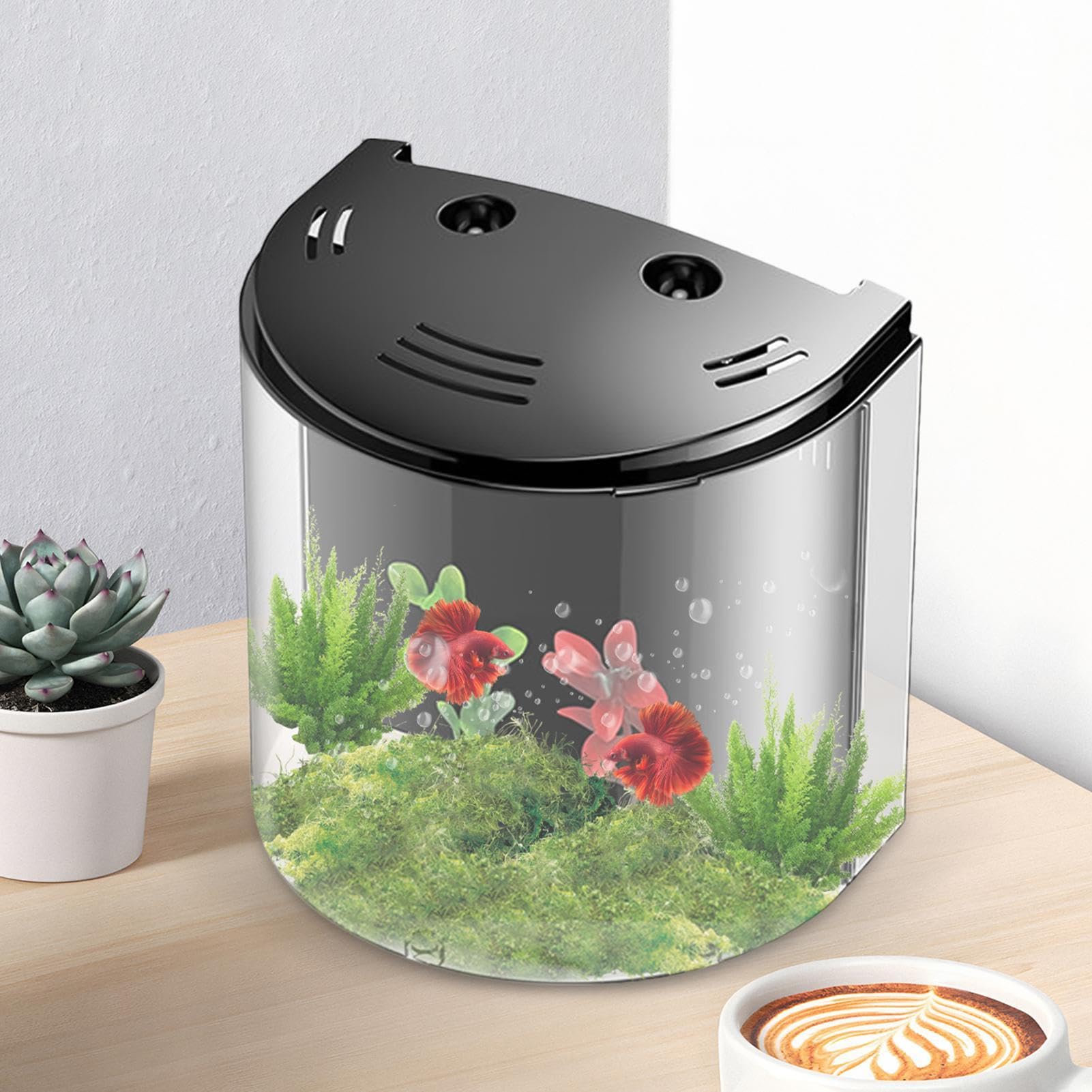 Acquario Da Tavolo Kioball - Piccolo E Trasparente Per Pesci O Tartarughe