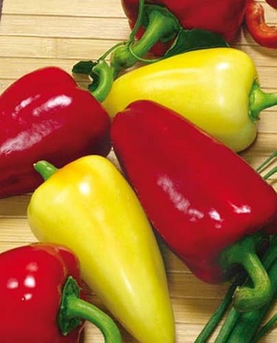 Miniatura 2 de Verduras sin OMG Belozerka de pimiento dulce blanco-rojo para plantar