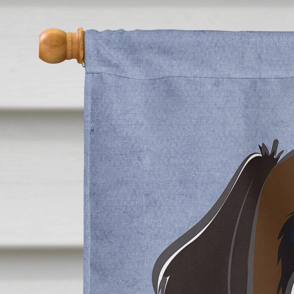 Caroline's Treasures BB1432CHF Saint Bernard Welcome House Flag, Blue Large Porch Sleeve Pole Decorative Outside Yard Banner Artwork Wall Hanging, Polyester, House Size, Multicolor