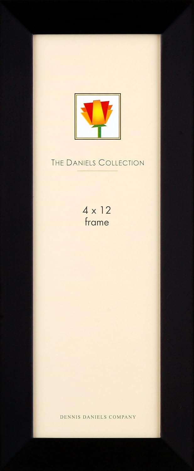 Dennis Daniels Gallery Woods Panoramic Picture Frame, 4 x 12 Inches, Ebony Finish