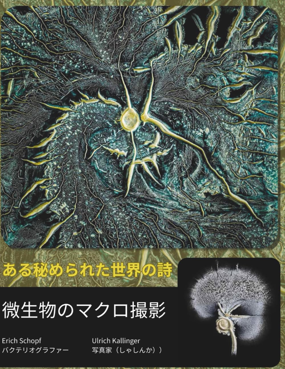 ある秘められた世界の詩: 微生物のマクロ撮影