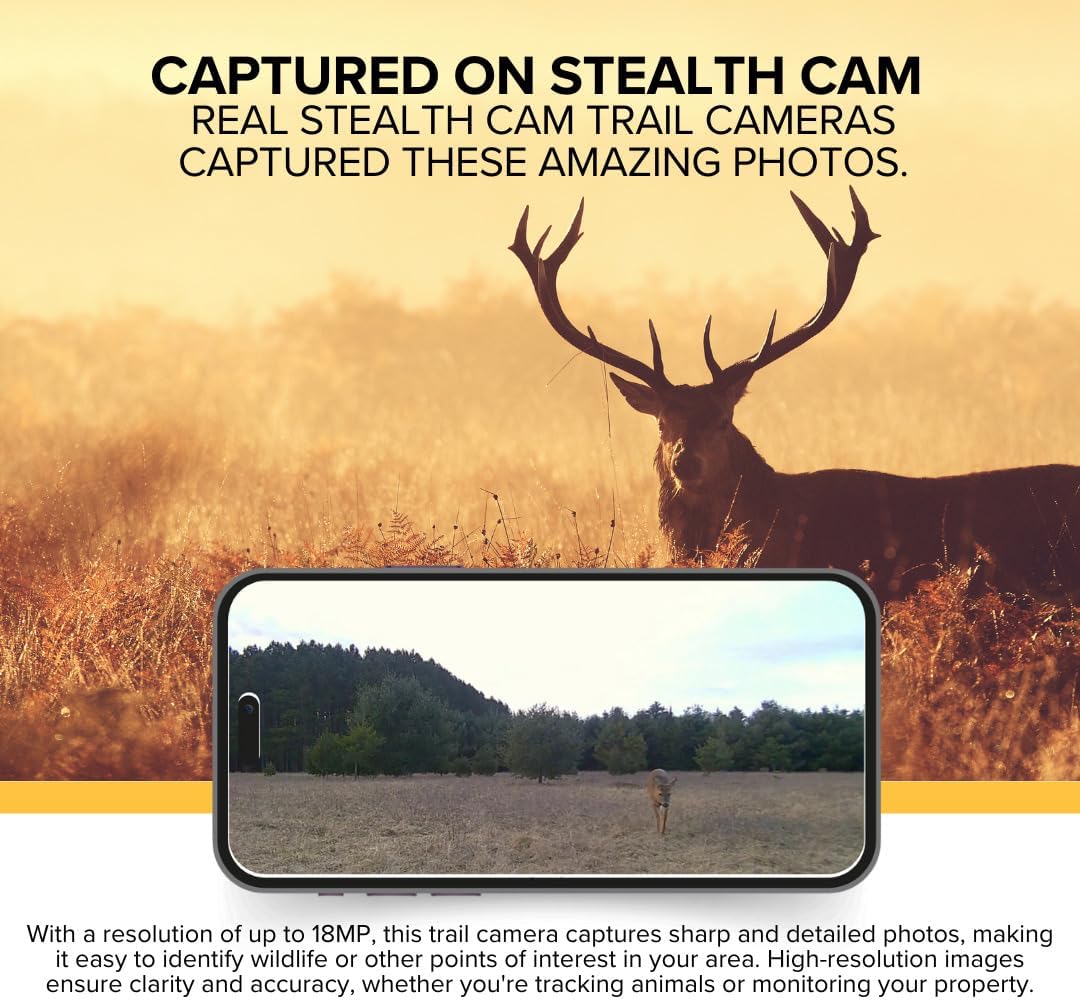 Stealth Cam Browtine 18MP Digital Trail Camera Bundle with 16GB SD Card and Focus Card Reader (2 Pack)