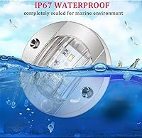 Vista 5 de Boaton Luces LED de pesca nocturna - Luces de cortesía, cubierta y navegación para barcos (blanco)
