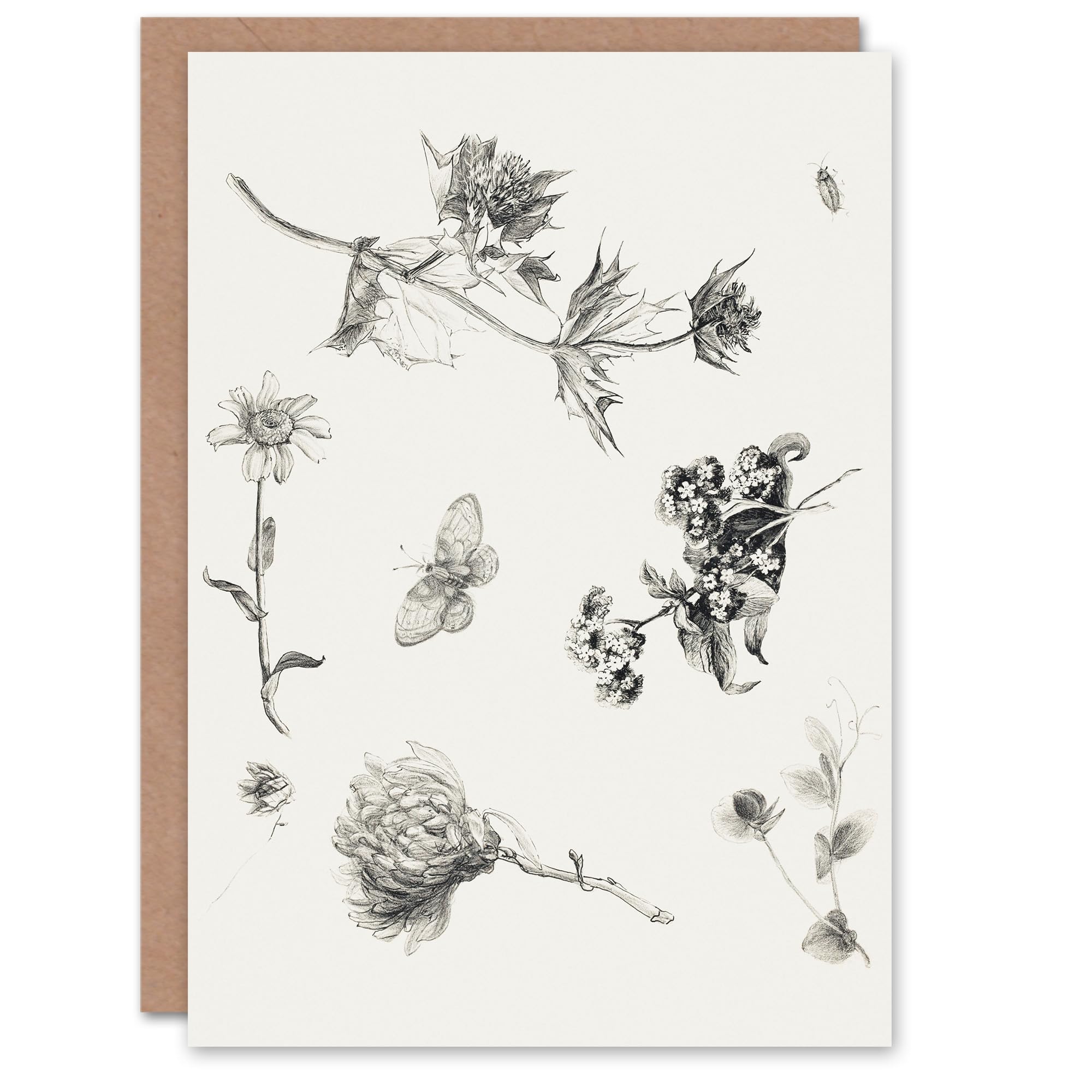 Artery8 Theo van Hoytema Art Card Flowers Leaves and Butterfly Drawing