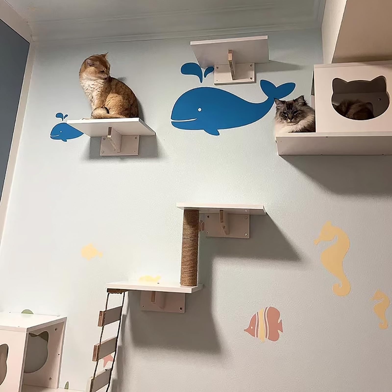 Percorso Gatti da Parete, Mensole Gatti, Casetta Sull'albero per Gattini, Trespolo da Parete per Micia, con Mensole per Arrampicata, Trespoli, Ponte(13PCS)