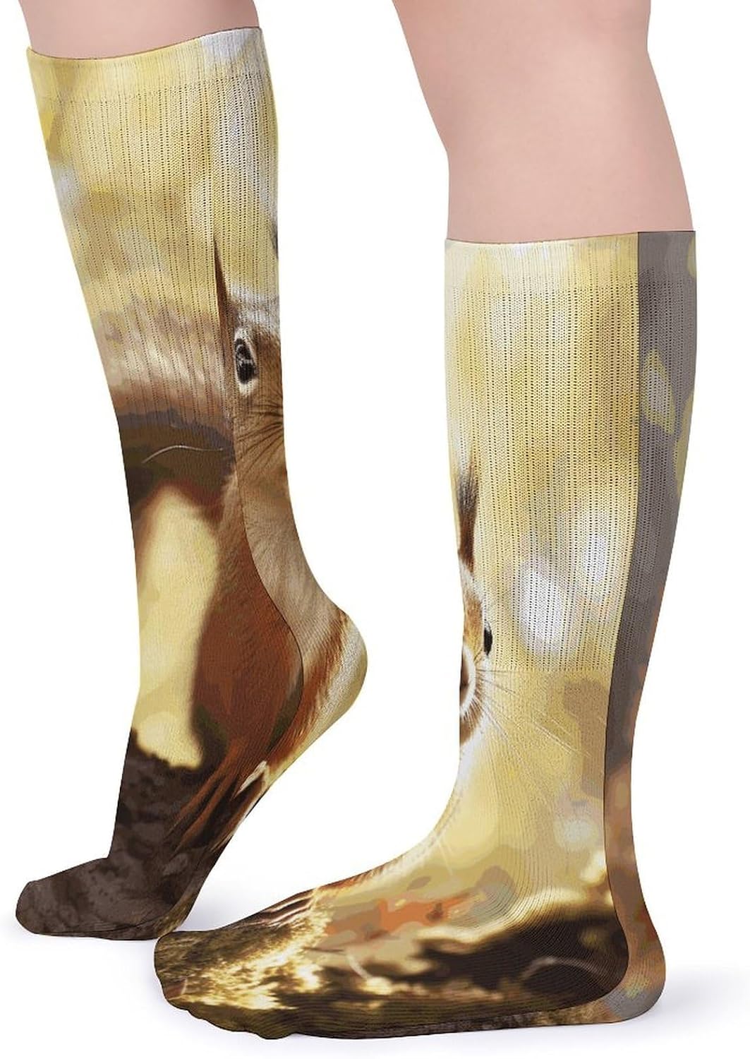 Funny Squirrel Crew Socks Cozy Casual Calf Socks Lightweight Long Work Sock Breathable Athletic Sock for Hiking Sports Running 5 Pairs