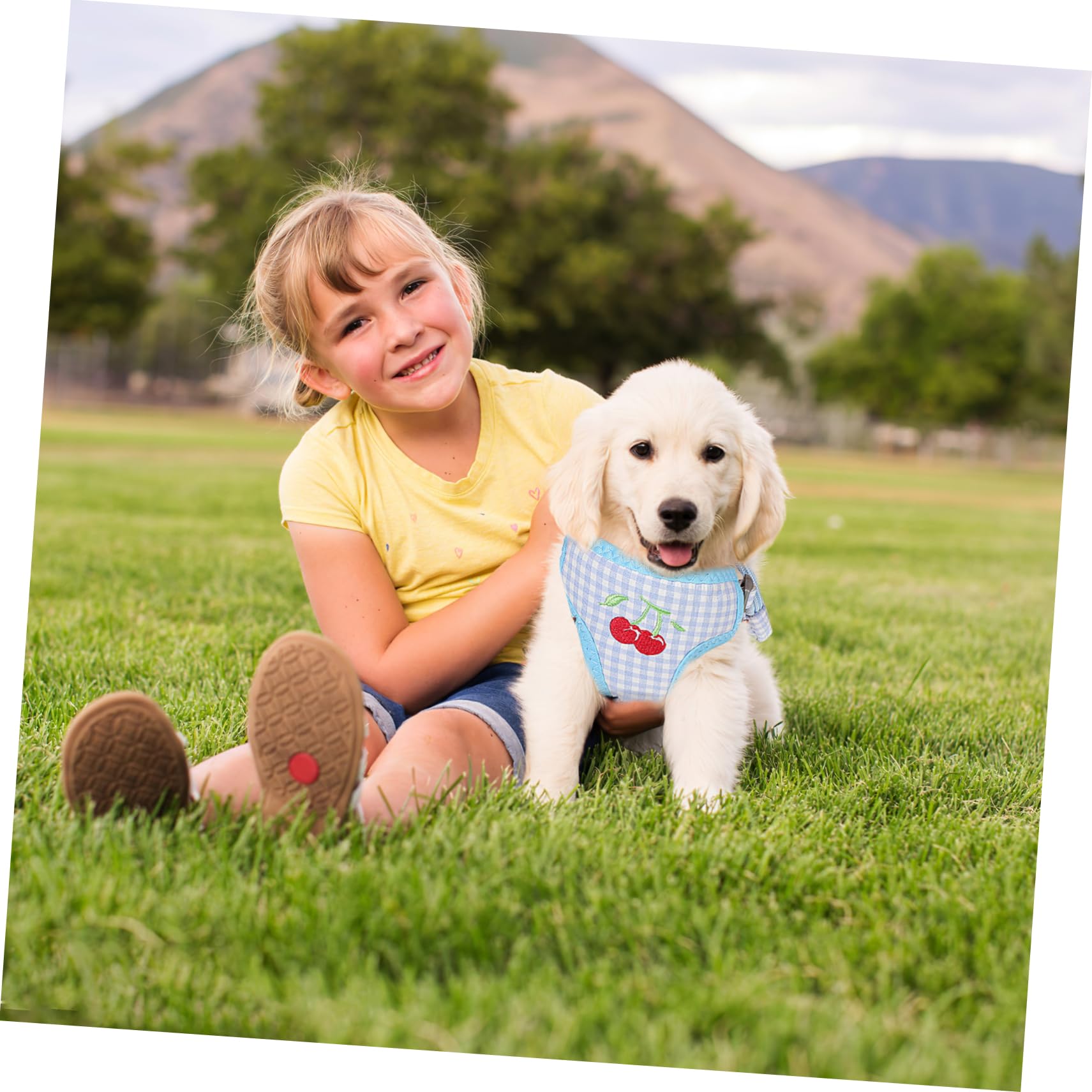 Generic 2pcs Cute Dog Backpack Detachable Pet Vest for Small Dogs Stylish Plaid Design Convenient Snack Bag Leash for Puppies and Cats