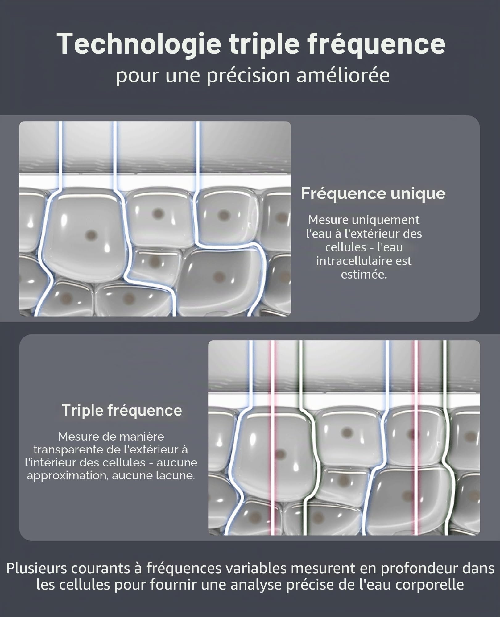 InBody Dial H30 Balance de composition corporelle | Balance intelligente avec IMC, graisse corporelle, masse musculaire | Balance avec application | Appareil de mesure de la graisse corporelle