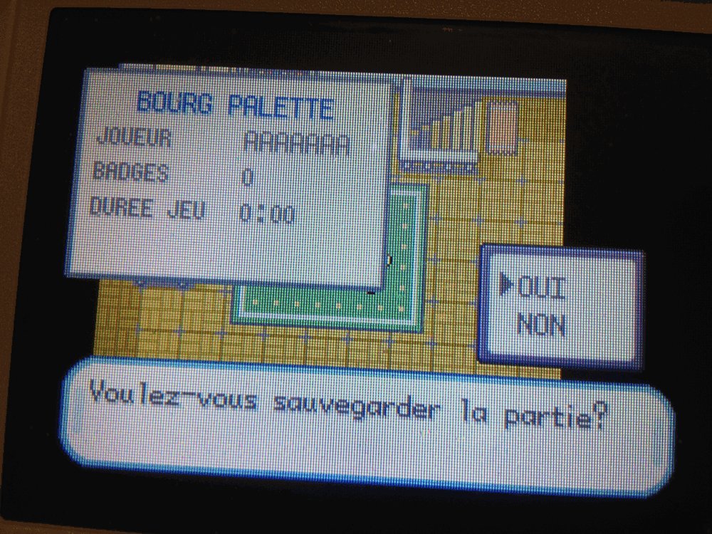 Pokémon version rouge feu
