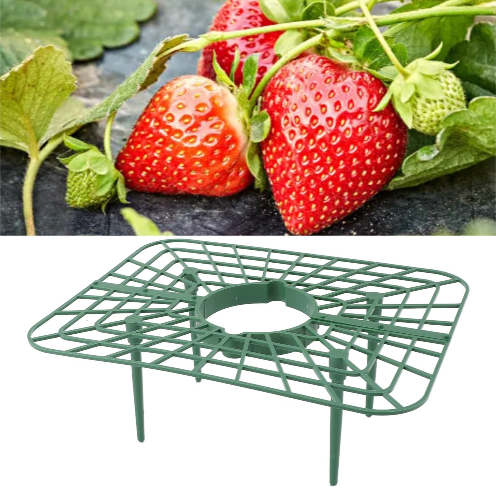 BFYDOAA 15Packs Plastic Strawberry Supports Square Strawberry Growing Racks Elevated Strawberry Grid Tray Stands for Strawberry Planting