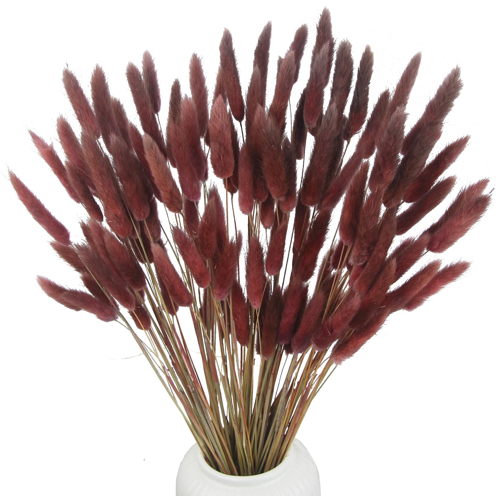 CEWUDA 120pcs Dried Bunny Tails Flowers Lagurus Ovatus Tail Dried Flowers Pampas Grass Brown Natural Dried Floral Arrangement for Boho Decor Home Wedding DIY Farmhouse Table Christmas