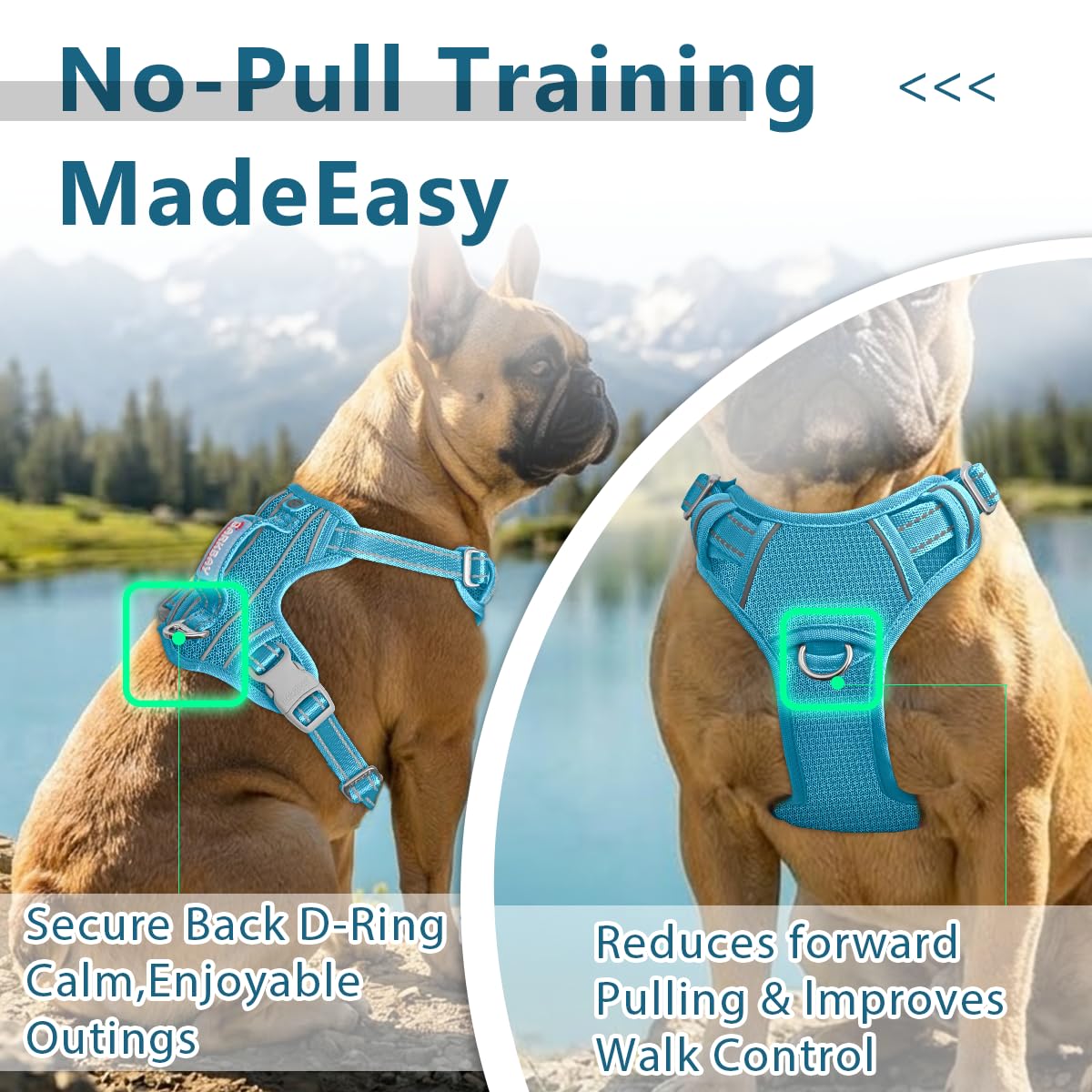 Amazon | BARKBAY 引っ張りなし犬用ハーネス フロントクリップ 高耐久