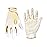 HANDLANDY Youth Football Gloves, Sticky Wide Receiver Gloves for Kids, White and Gold Stretch Fit Football Glove (White and Gold, XX-Large)