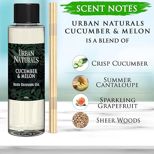 Miniatura 240 de Urban Naturals Reed Diffuser Oil Refill Ocean Mist Sea Salt with Salt Spray, Violet Leaf, Sea Grass, Driftwood 8 oz + Free Reed Sticks, Made in The