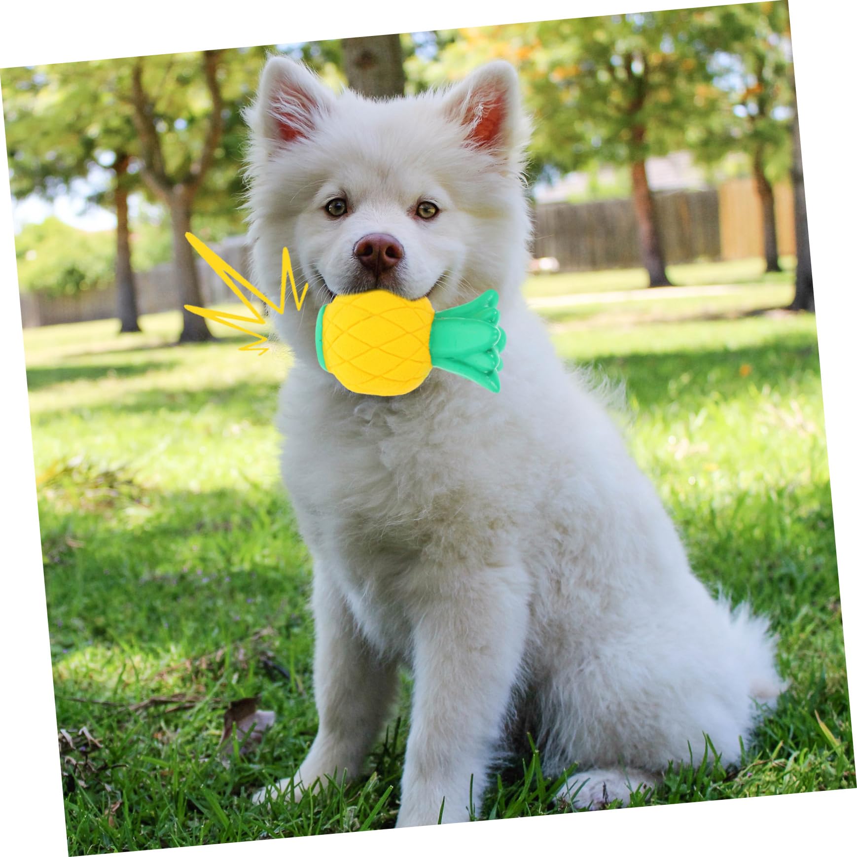 BESPORTBLE 6 Piezas De Juguetes para Masticar para Mascotas Juguete Chirriante para Cachorros Juguete Chirriante para Mascotas Juguetes para Masticar Perros Juguete para Chupete para