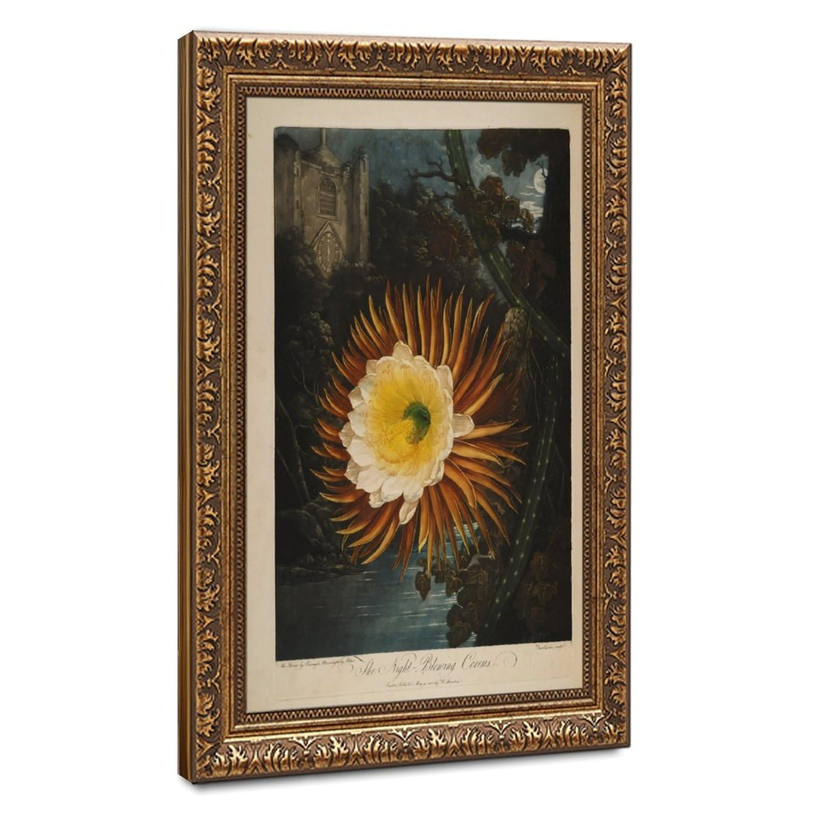 Impression sur toile Temple de Flora tableau de nuit avec cadre - 8