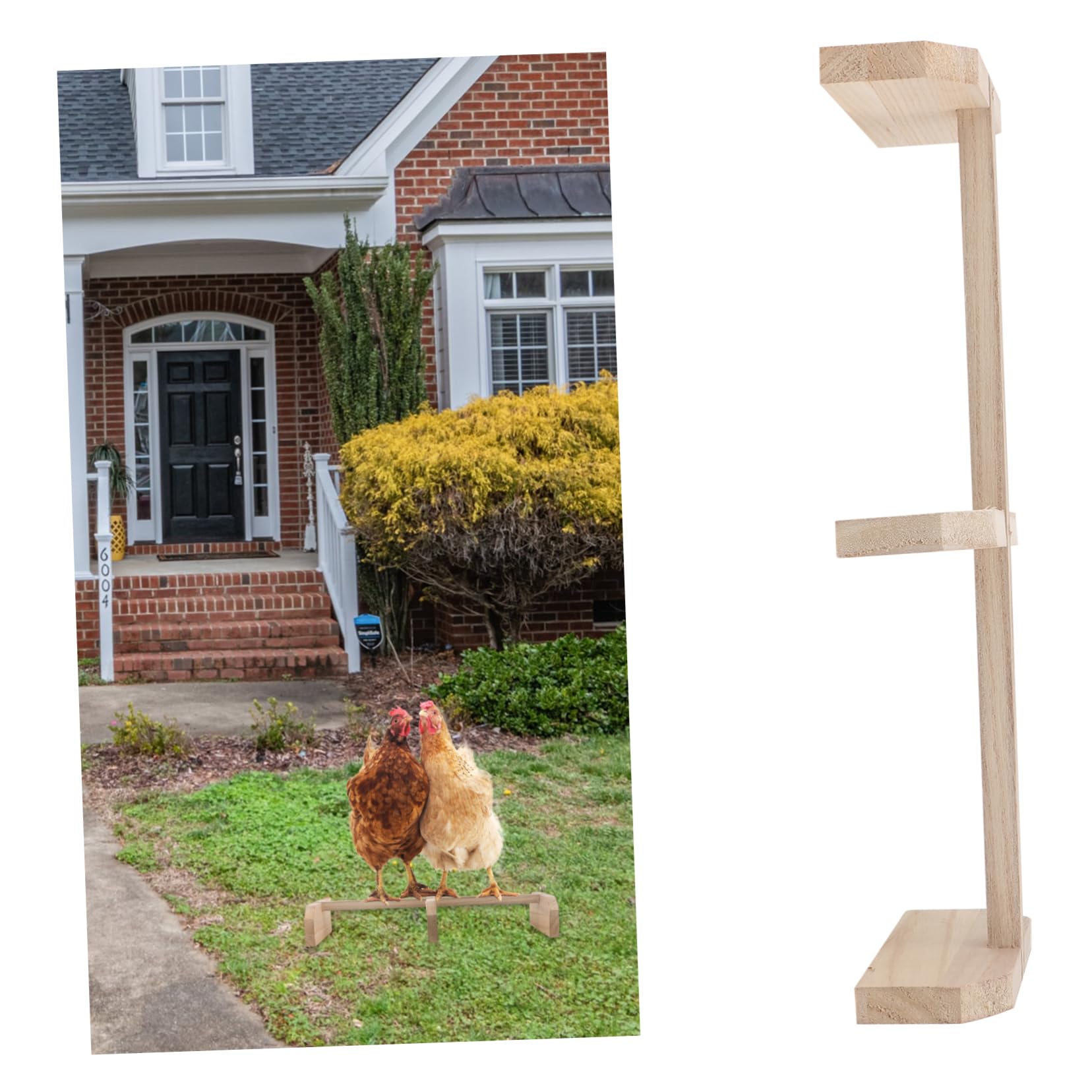 BESPORTBLE 2piezas Perch De Madera para Aves y Soporte Estable para Barra De Descanso para Aves Medianas y De Instalar y Usar